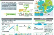 深圳户籍福利指南，全面解析深户申请补贴政策与实操攻略