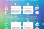技能补贴申请全攻略，从条件到流程，一文读懂如何申领
